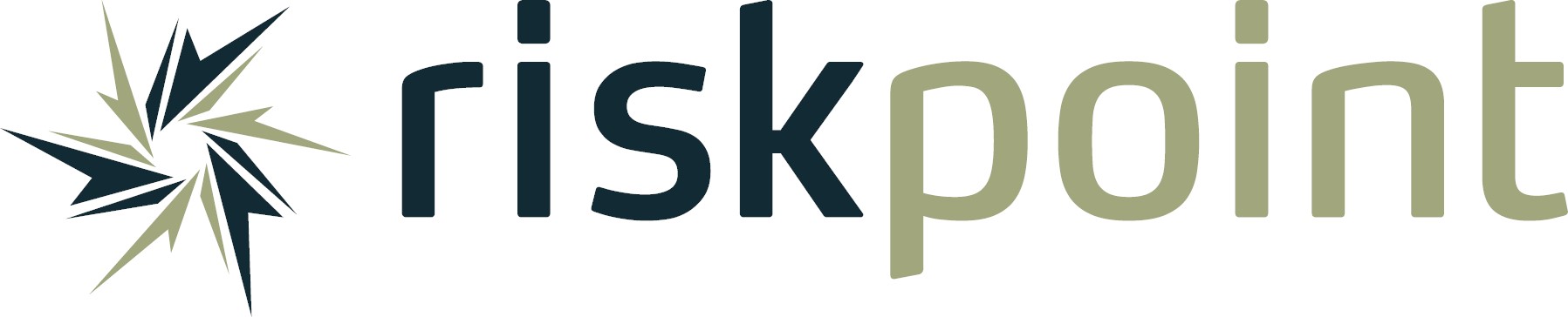 Riskpoint Logo RGB High Res